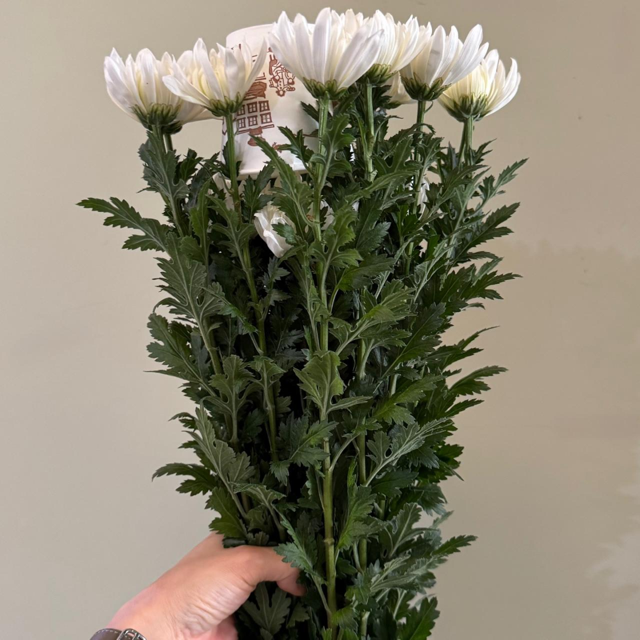 3368
