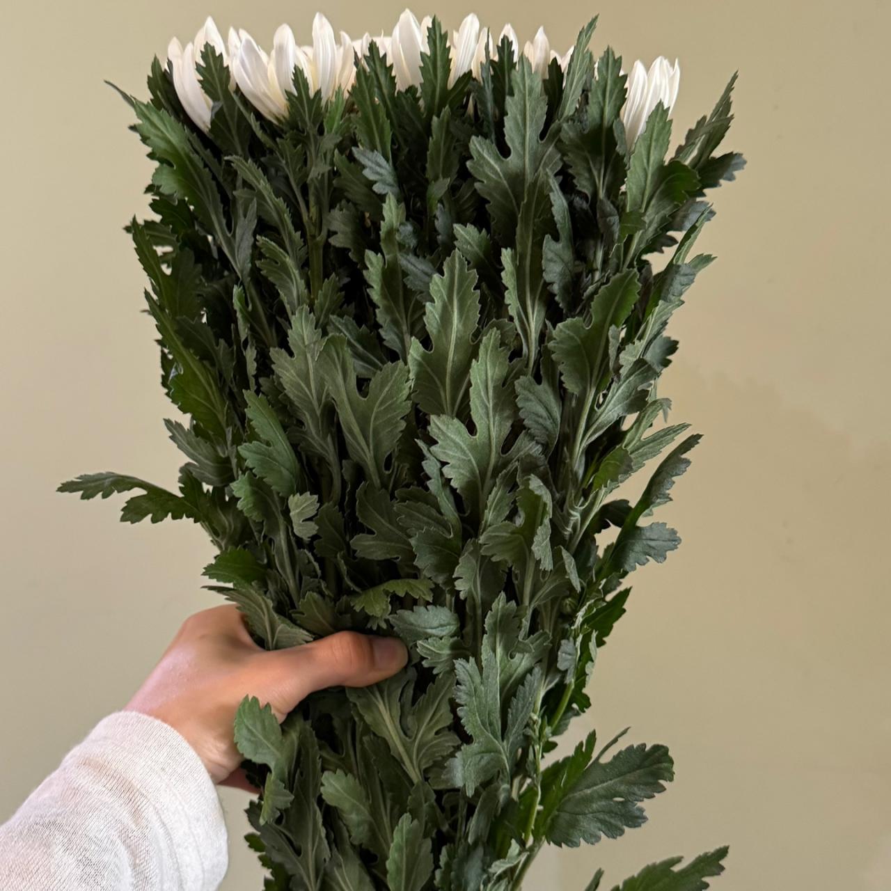 3358