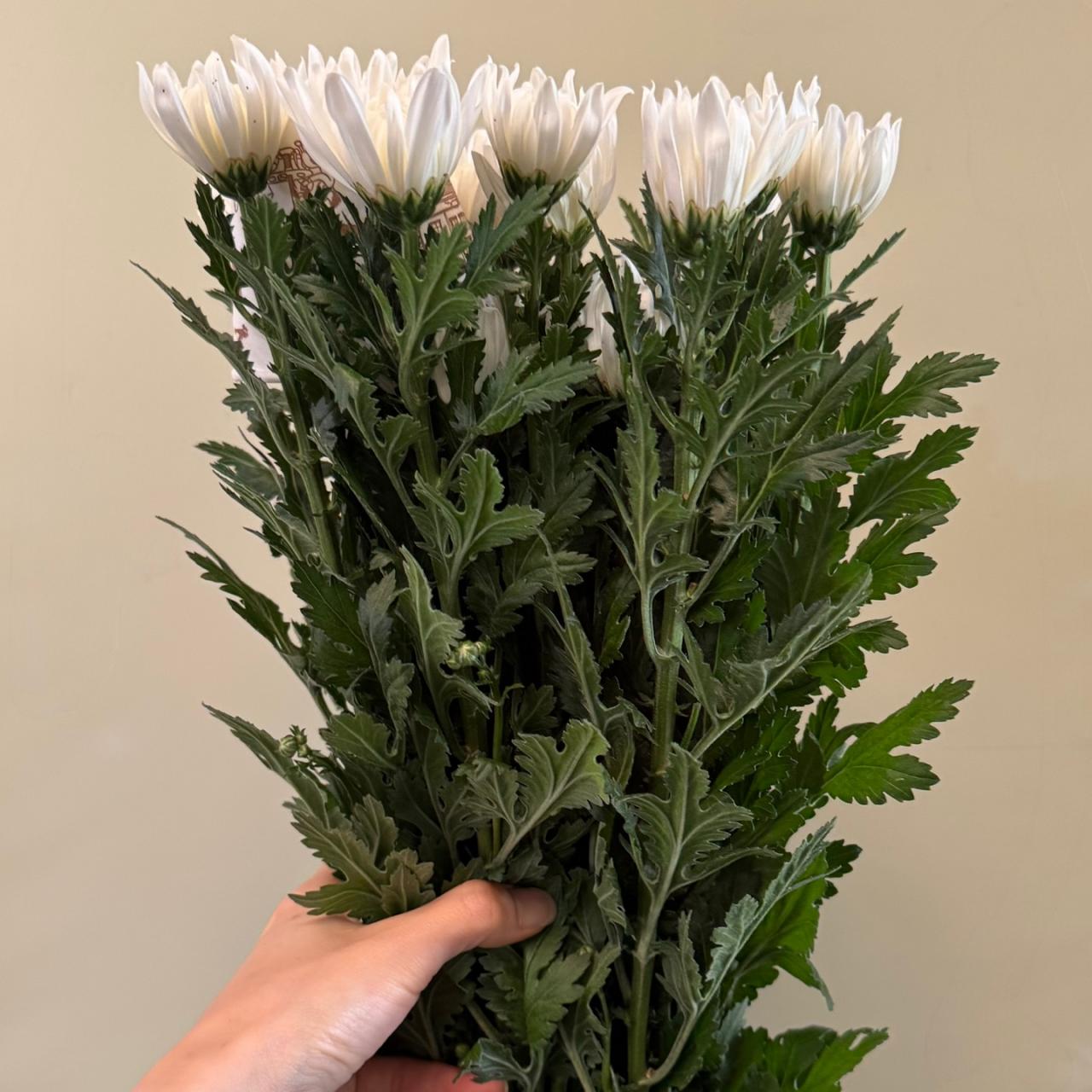 3588