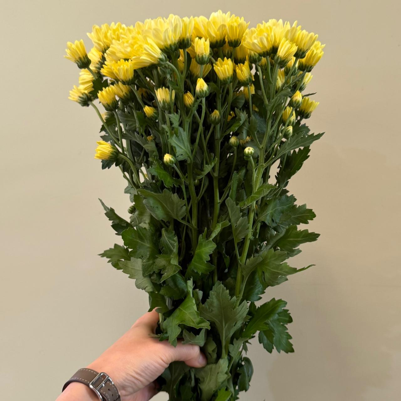 3634