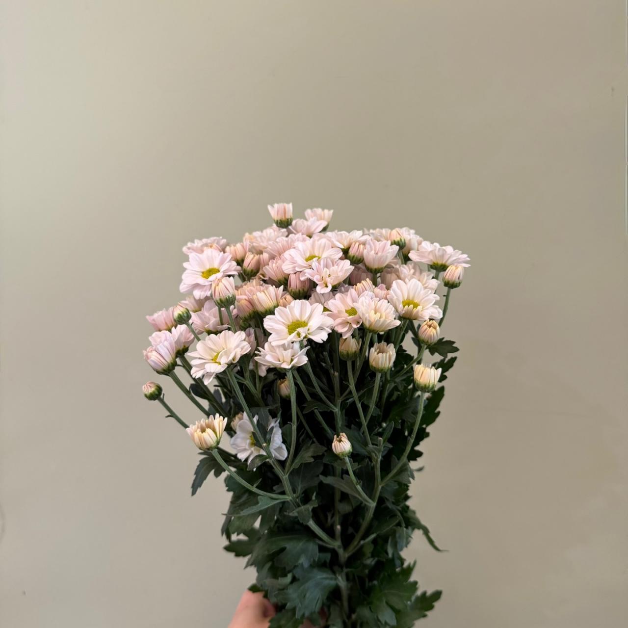 3630