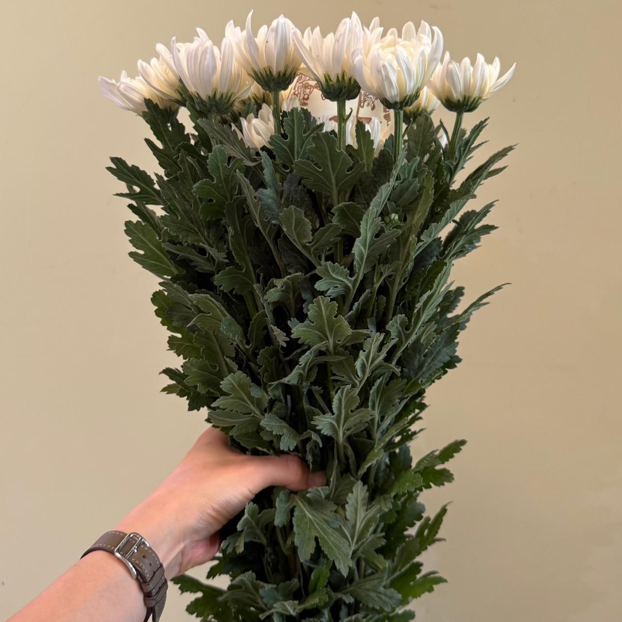 3674
