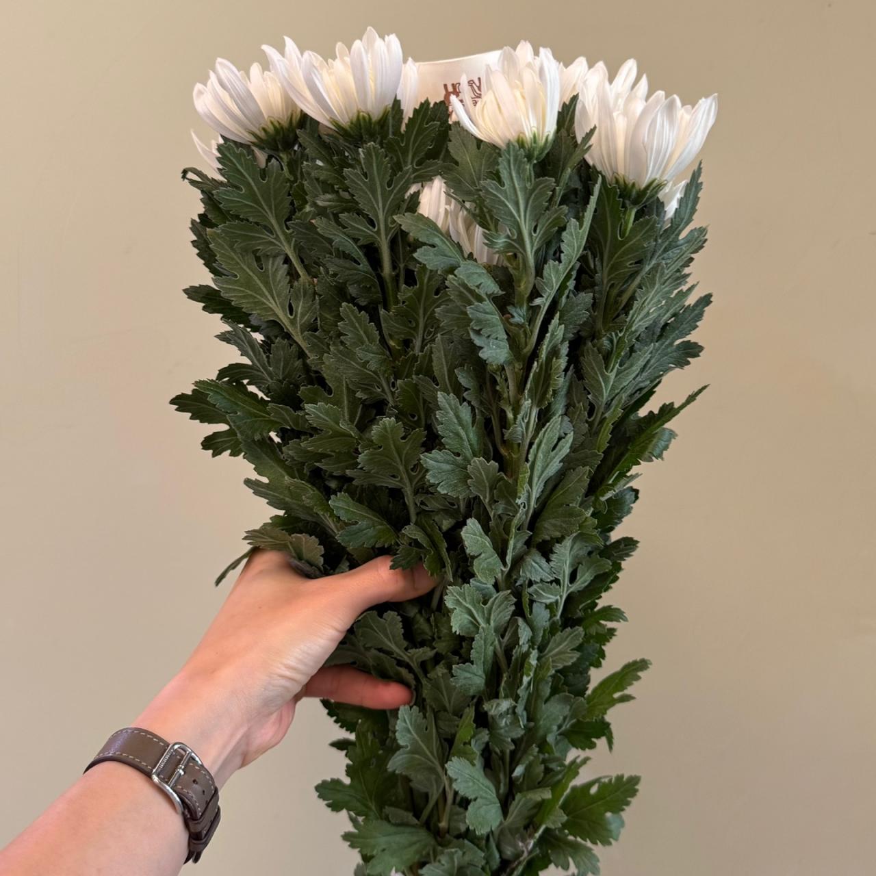 3713
