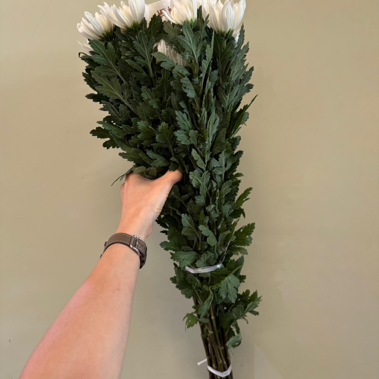 3712