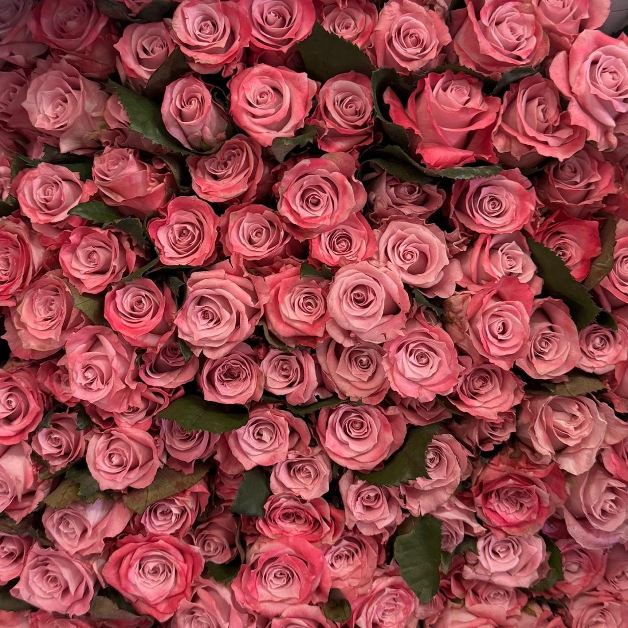 3775