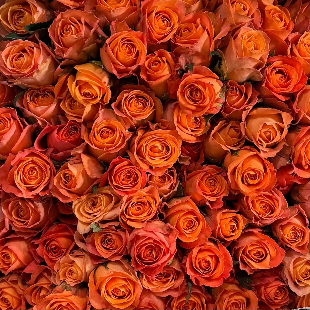 3770
