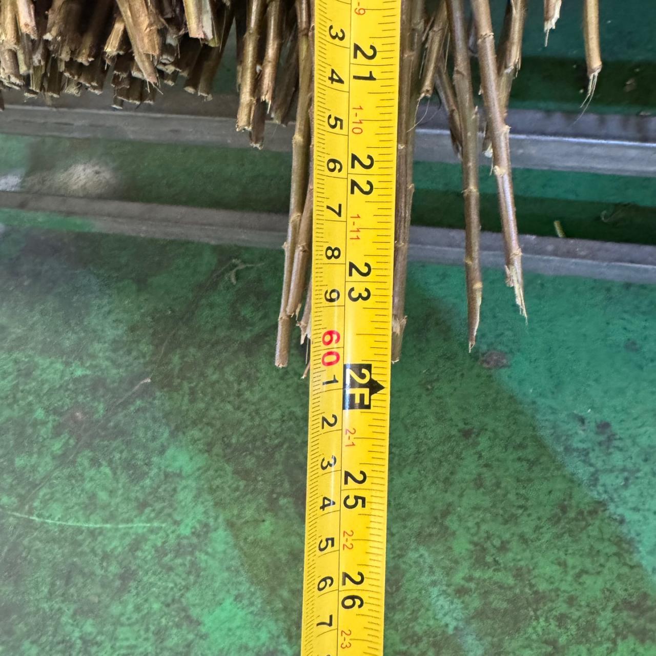 3731