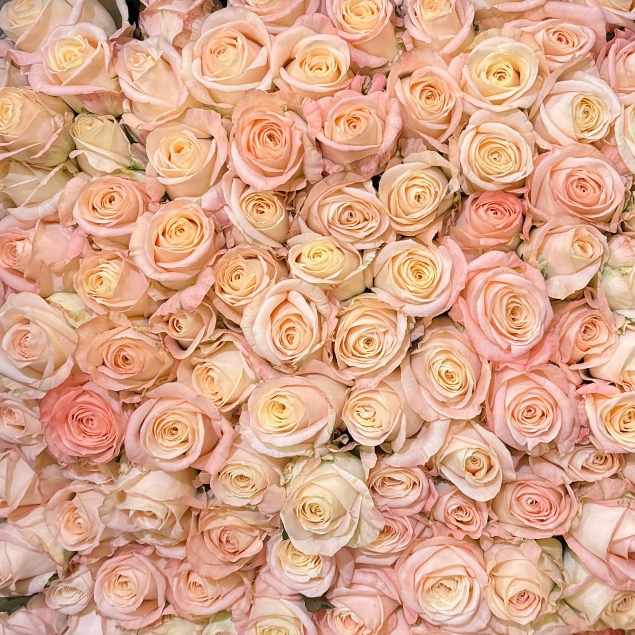 3750