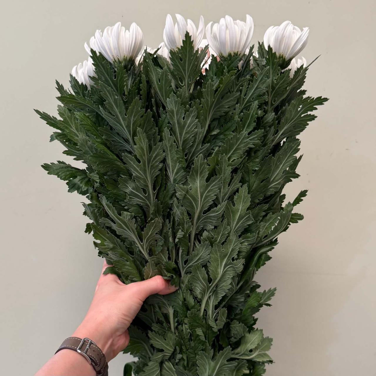3958