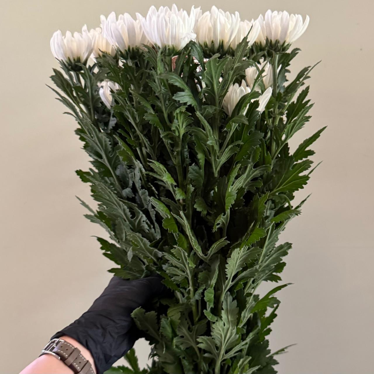4139