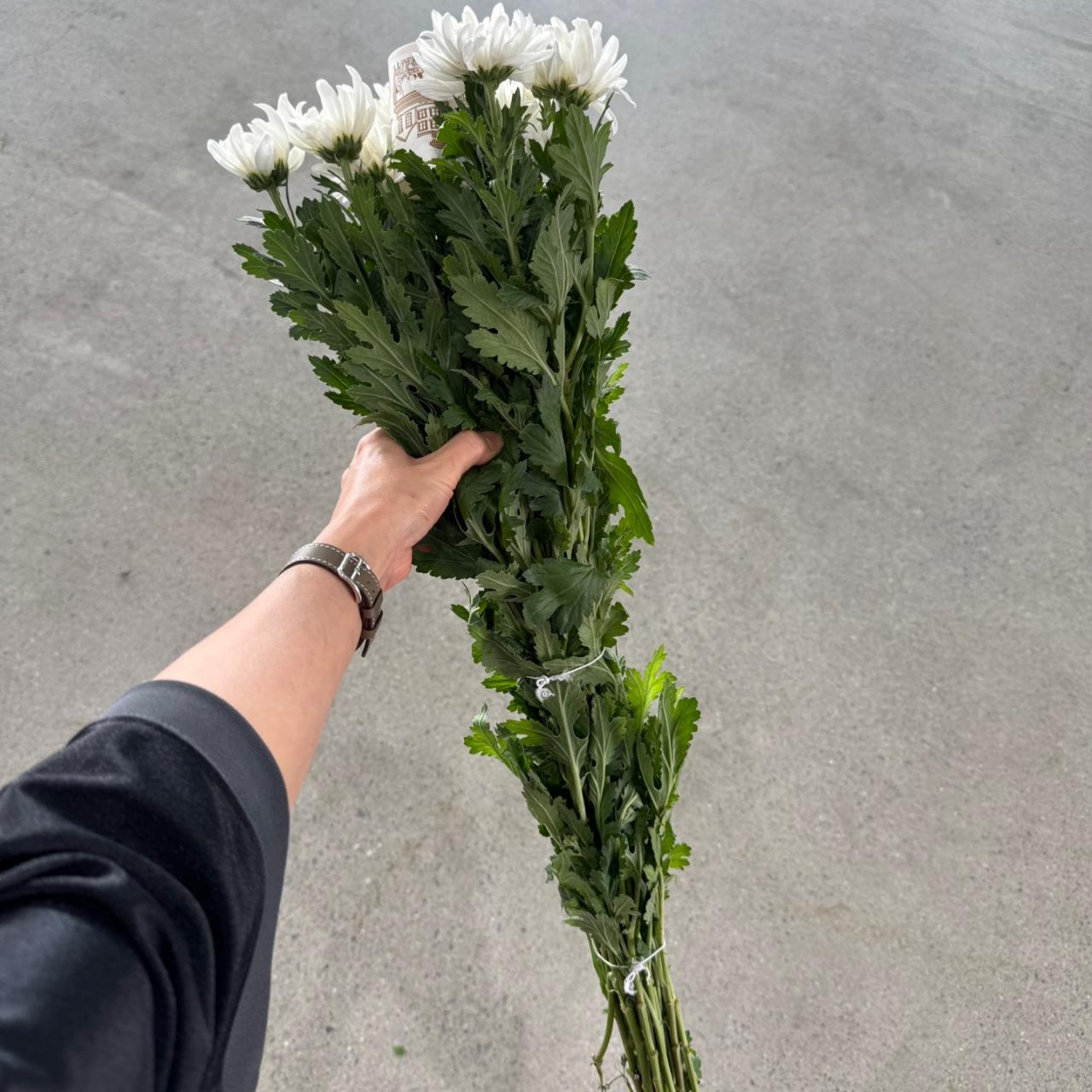 4303