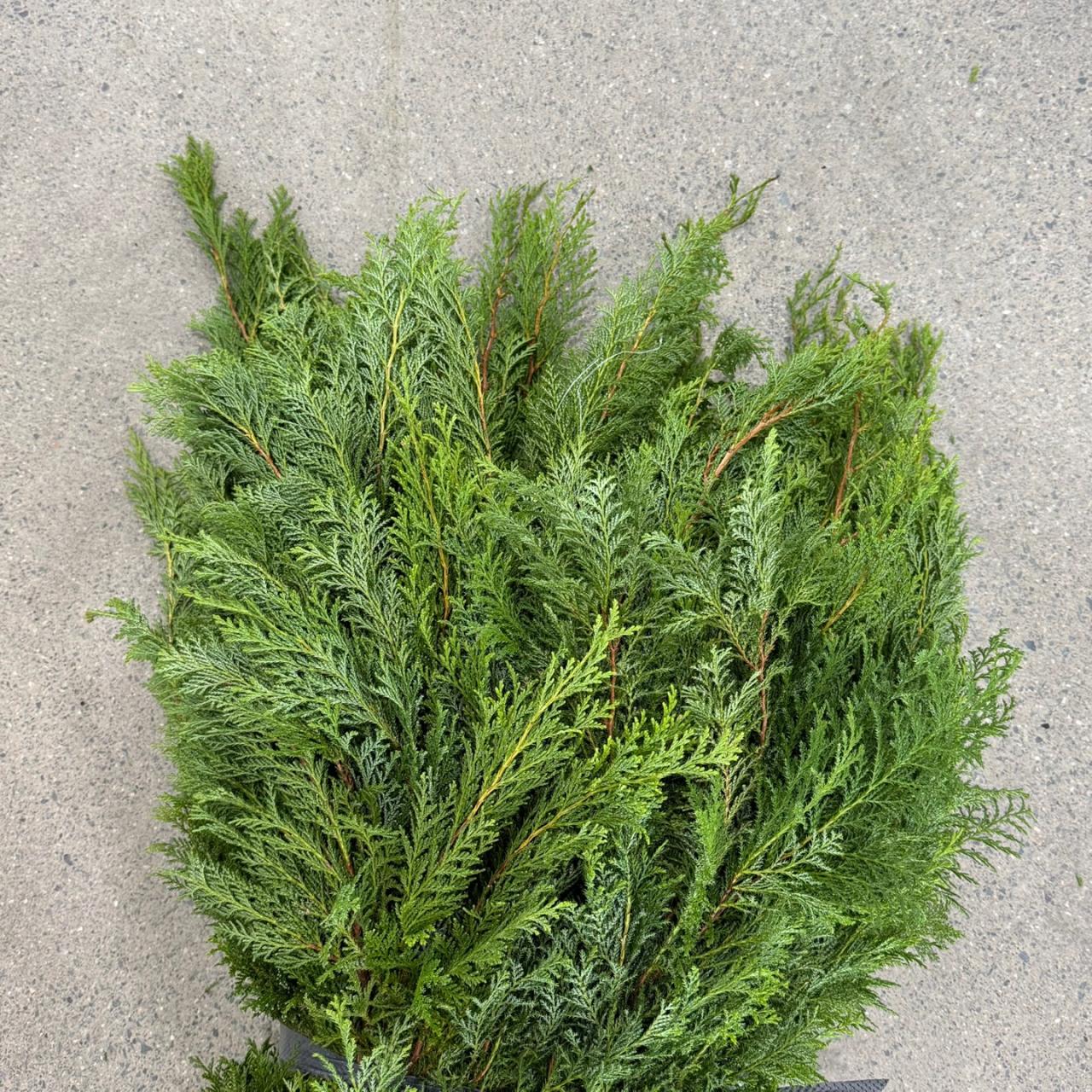 4380
