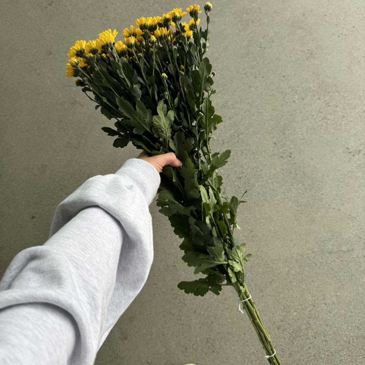4392