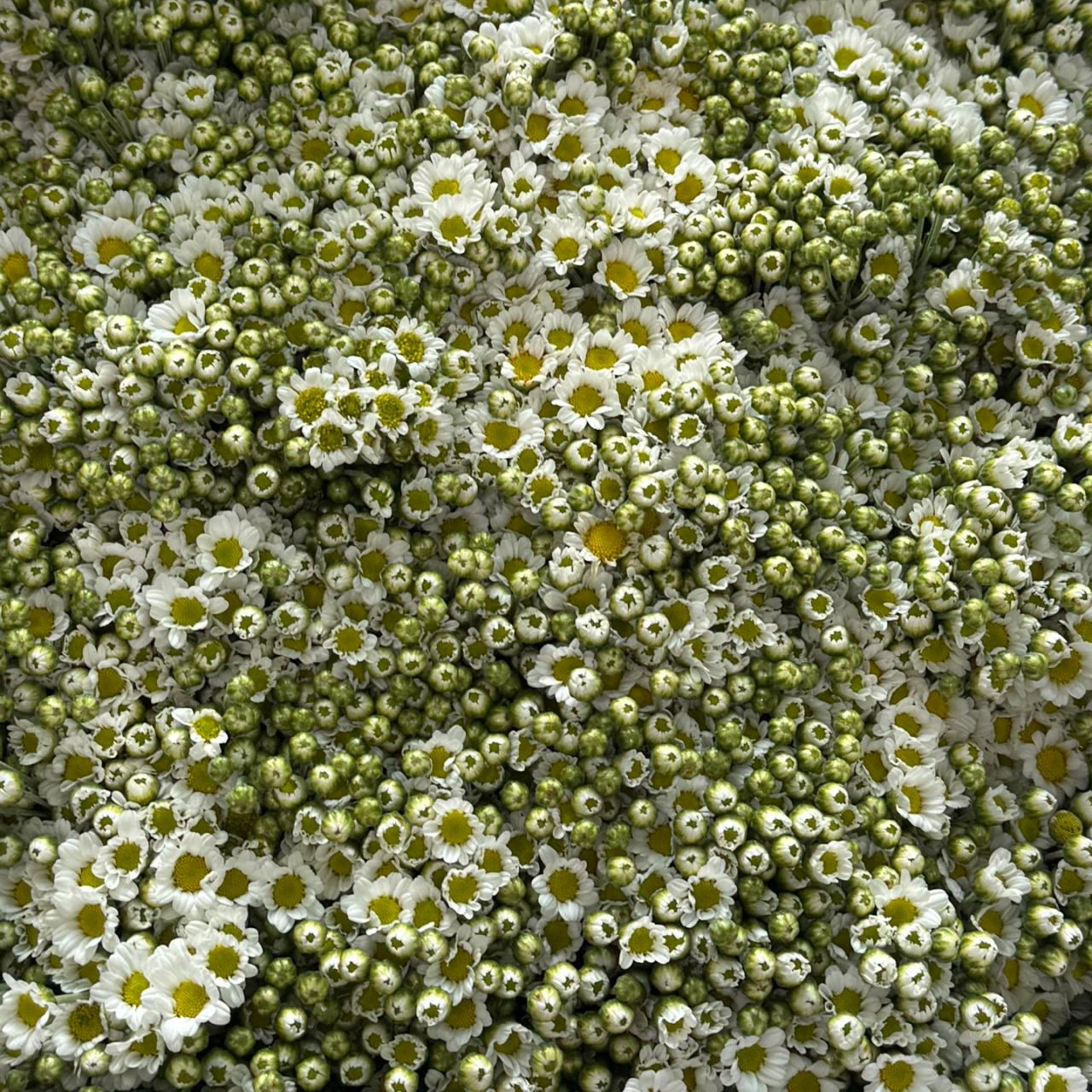 4574