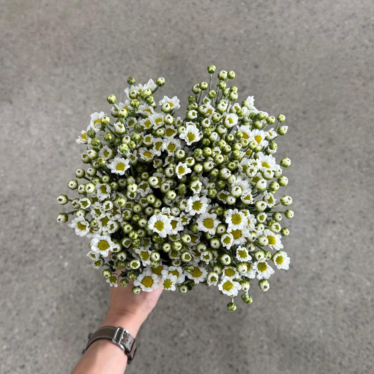 4573