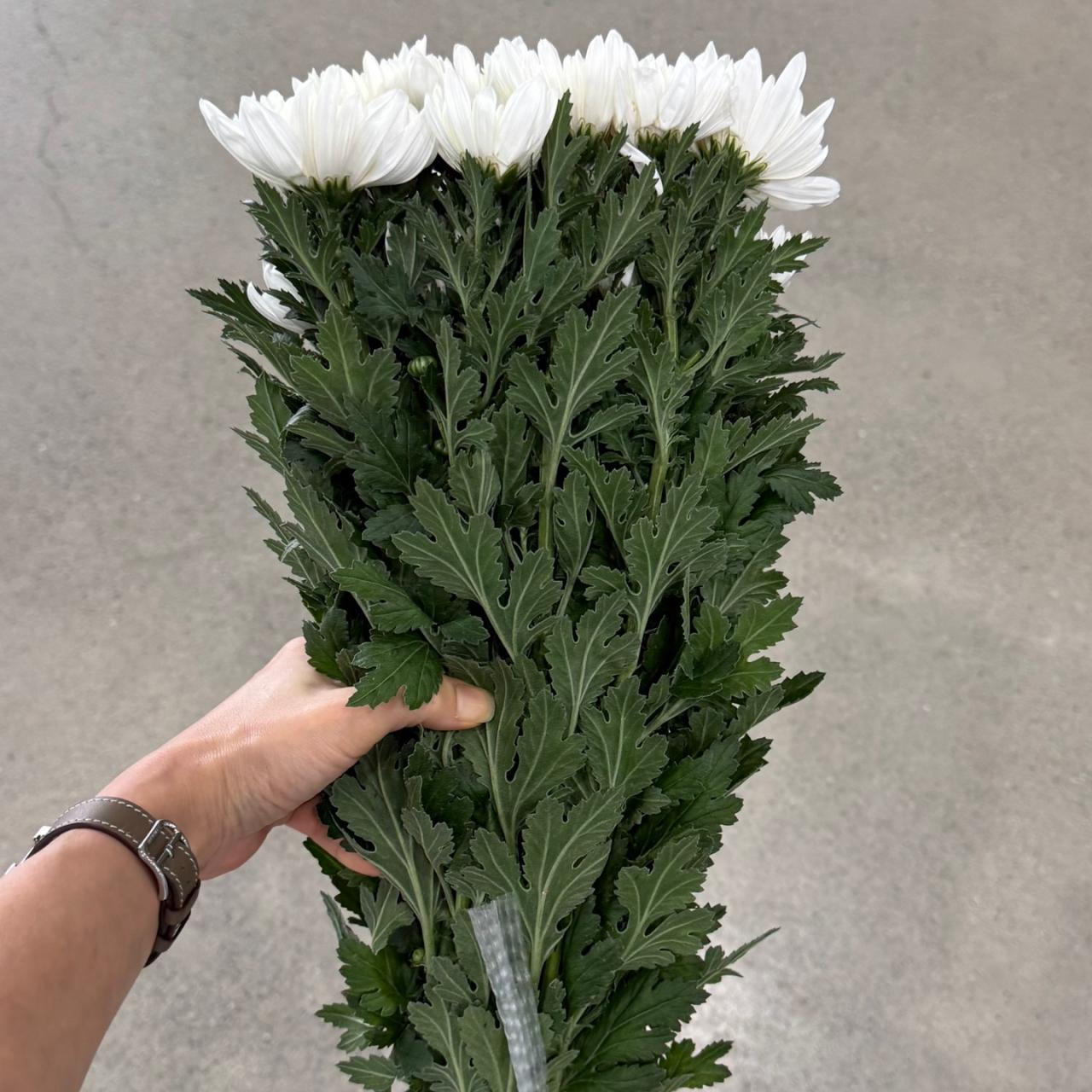 4587