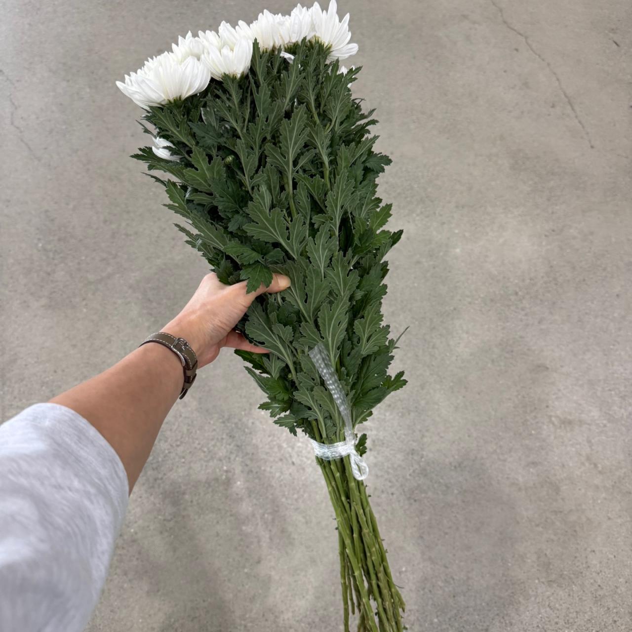4586