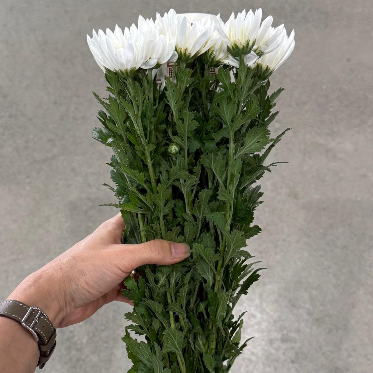 4607